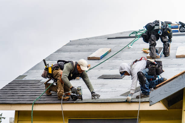 Professional Gutter Installation technician working in Davey, NE